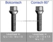 Afbeeldingen van Wielbout Bolconische M12 x1.5 30MM