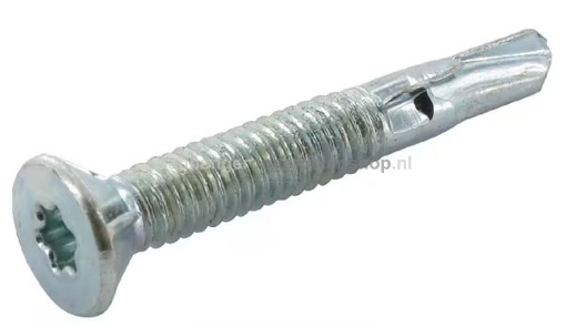 Afbeeldingen van Zelftappende Plaatschroef 5,5x38MM TX25