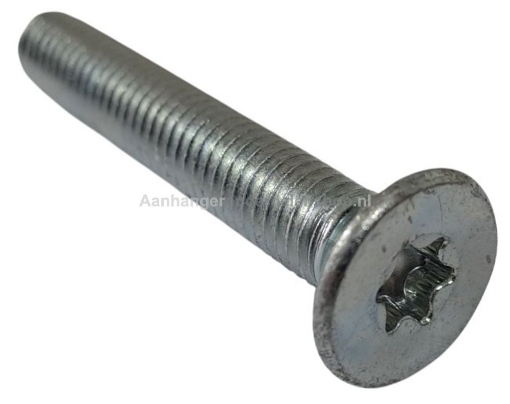 Afbeeldingen van Trailervloer Schroeven M8x50 TX40