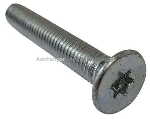 Afbeeldingen van Trailervloer Schroeven M8x50 TX40