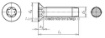 Afbeeldingen van Trailervloer Schroeven M6x50 TX30