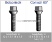 Afbeeldingen van Wielbout Bolconische M12 x1.5 24MM