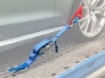 Afbeeldingen van Spanband met Lus 50MM Autotransport